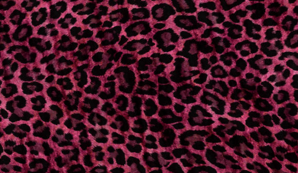 Download Abstract Animal Skin Texture Backgrounds - Animal skin texture Collection